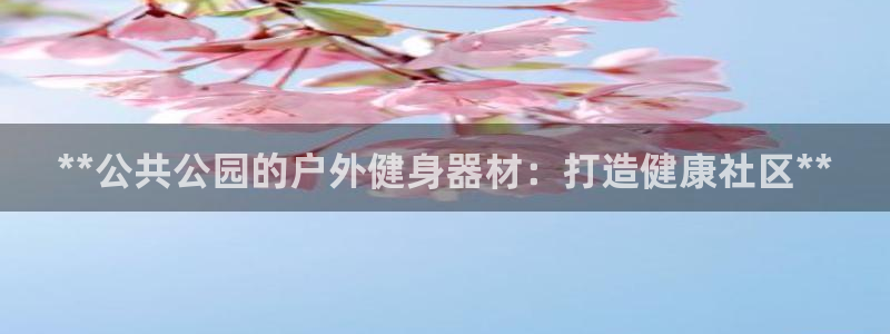 星欧娱乐平台量7O777：**公共公园的户外健身器材