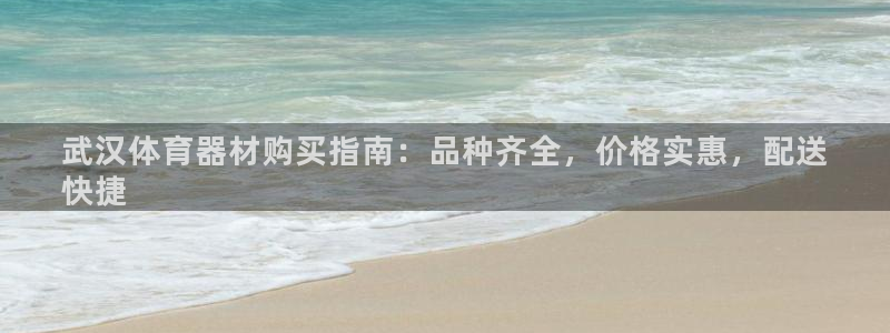 星欧娱乐是正规平台吗安全吗：武汉体育器材购买指南：品