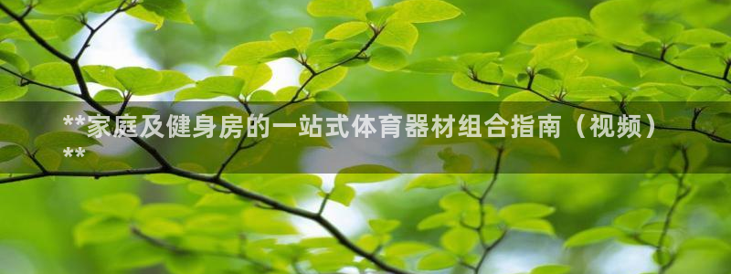 星欧娱乐扣款流程详解图片大全：**家庭及健身房的一站