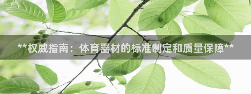 星欧娱乐最建议买的三个产品有哪些：**权威指南：体育