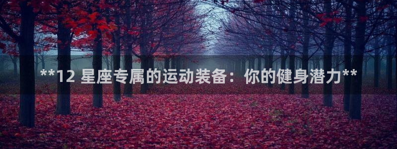 星欧娱乐联和哪个品牌合作：**12 星座专属的运动装