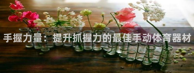 星欧娱乐扣款流程详解视频教程：手握力量：提升抓握力的
