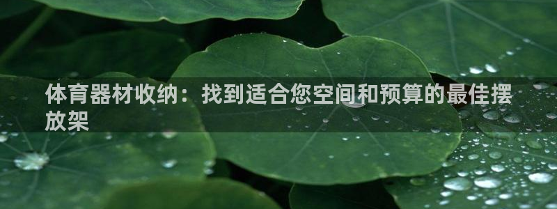 星欧娱乐彩票软件下载安装：体育器材收纳：找到适合您空