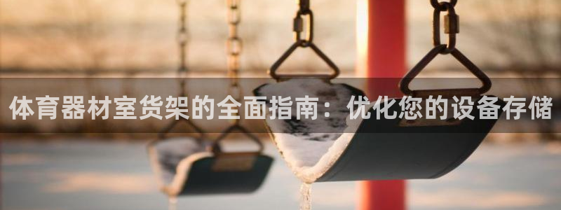 星欧娱乐公司：体育器材室货架的全面指南：优化您的设备