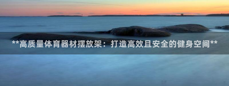 星奥娱乐集团股份有限公司：**高质量体育器材摆放架：