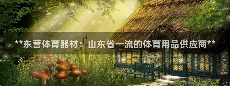 星欧娱乐官网首页：**东营体育器材：山东省一流的体育