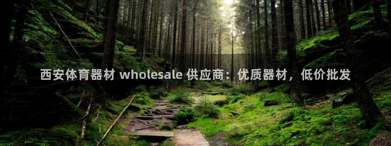 星欧娱乐法711.112怎么扣钱：西安体育器材 wh