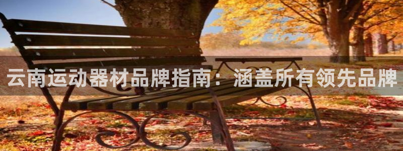 星奥娱乐招聘：云南运动器材品牌指南：涵盖所有领先品牌