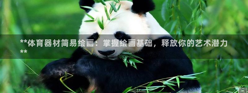 星奥娱乐微博：**体育器材简易绘画：掌握绘画基础，释