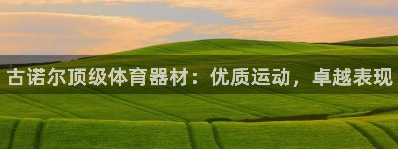 星欧娱乐扣款时间查询方法：古诺尔顶级体育器材：优质运