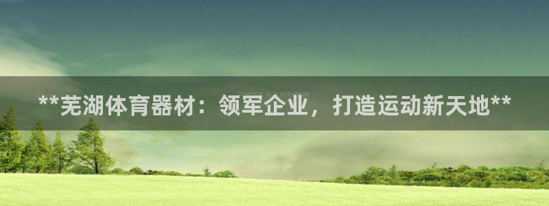 星奥娱乐集团股份有限公司：**芜湖体育器材：领军企业