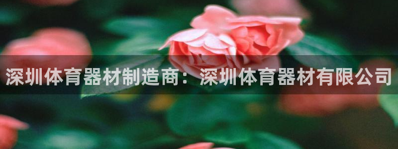 星欧娱乐扣款6II2是什么情况：深圳体育器材制造商：