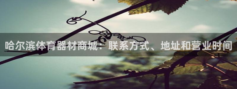 星欧娱乐扣款流程详解视频下载：哈尔滨体育器材商城：联