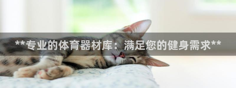 星奥娱乐集团股份有限公司招聘：**专业的体育器材库：