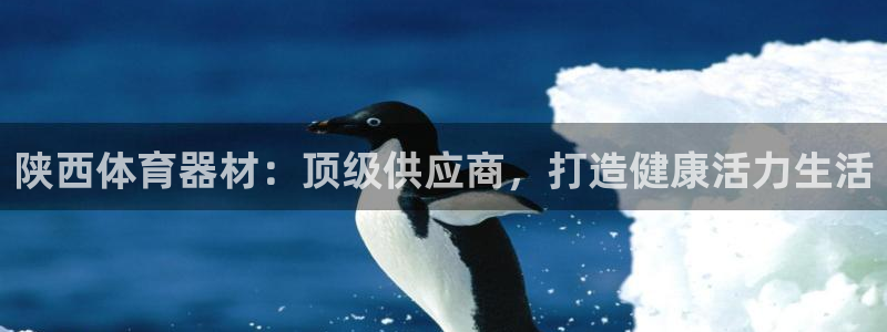 星欧娱乐扣款6II2是什么情况：陕西体育器材：顶级供