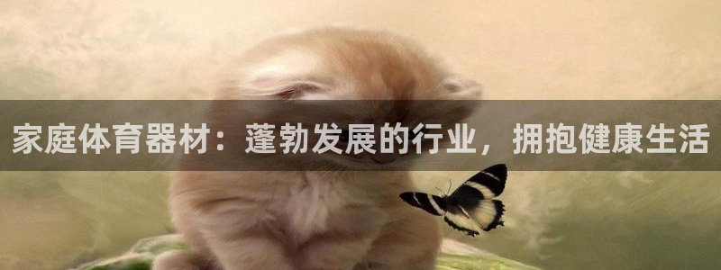 星奥娱乐集团股份有限公司官网：家庭体育器材：蓬勃发展