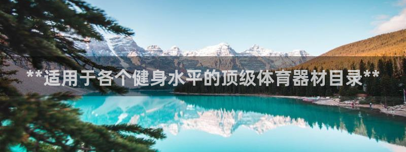 星欧娱乐公司怎么样：**适用于各个健身水平的顶级体育