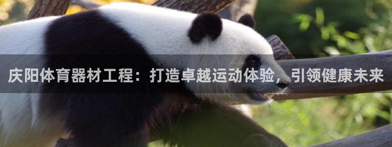星欧娱乐测速：庆阳体育器材工程：打造卓越运动体验，引
