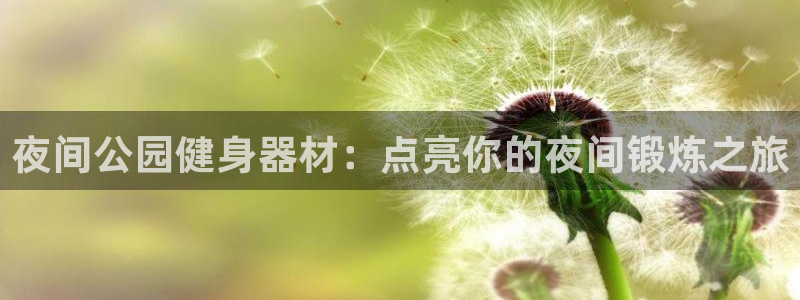 江苏星奥娱乐招艺人：夜间公园健身器材：点亮你的夜间锻