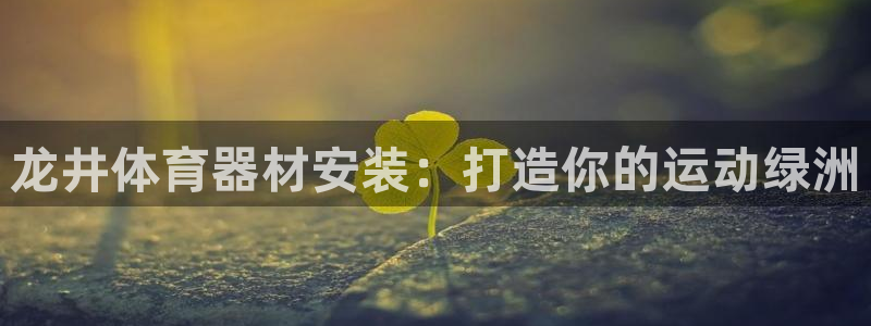 星欧娱乐属于什么档次的网站啊：龙井体育器材安装：打造