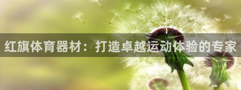 星奥娱乐微博：红旗体育器材：打造卓越运动体验的专家