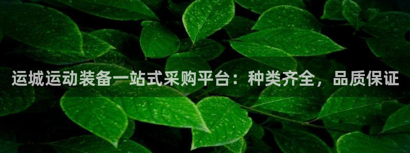 星欧娱乐的创始人背景故事：运城运动装备一站式采购平台