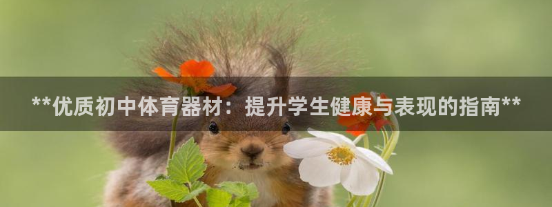 星游娱乐1官网下载：**优质初中体育器材：提升学生健