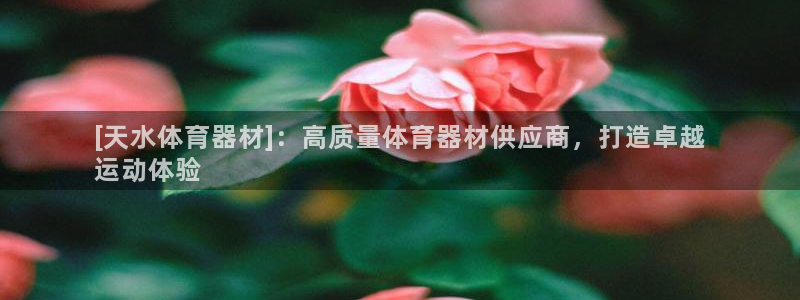 星欧娱乐最建议买的三个游戏：[天水体育器材]：高质量