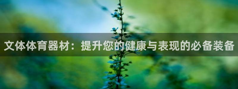 星奥娱乐艺人：文体体育器材：提升您的健康与表现的必备