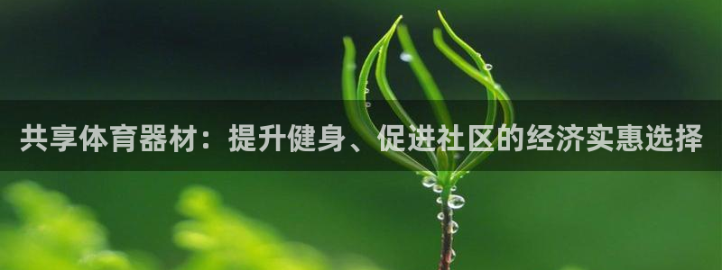 星欧娱乐测速：共享体育器材：提升健身、促进社区的经济