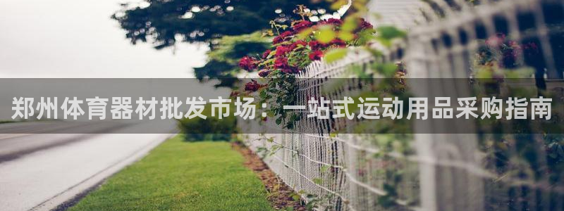 星欧娱乐的官方版本更新内容有哪些：郑州体育器材批发市