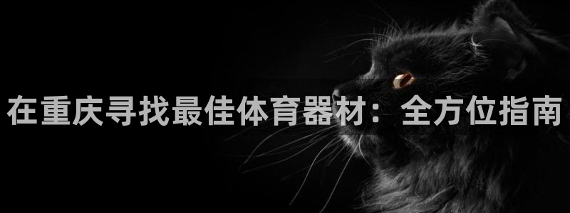 星欧娱乐平台：在重庆寻找最佳体育器材：全方位指南