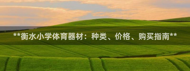 星欧娱乐扣款时间查询方法怎么查的：**衡水小学体育器