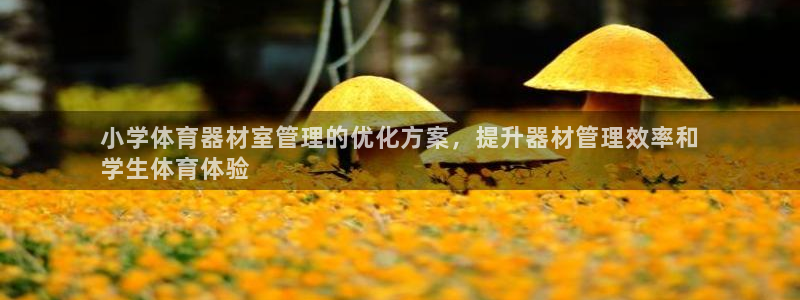 星欧娱乐信存手机版下载：小学体育器材室管理的优化方案