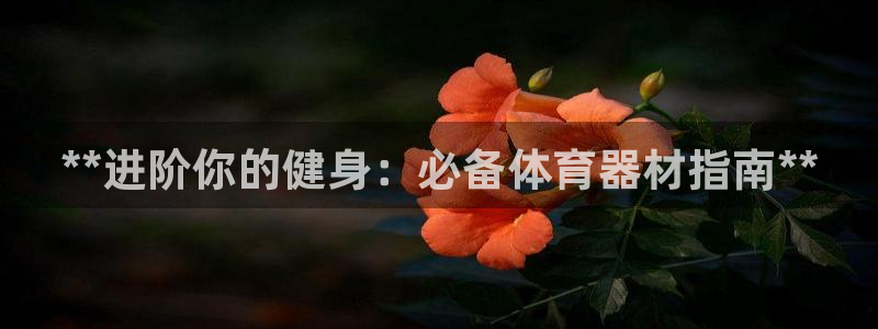 星欧娱乐扣款时间查询方法怎么查不到：**进阶你的健身