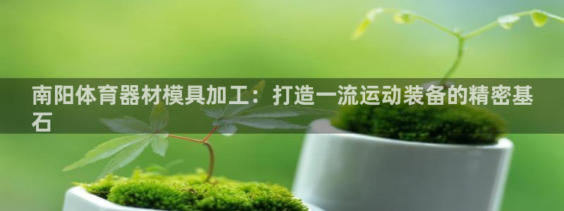 星欧娱乐公司创始人背景故事简介：南阳体育器材模具加工