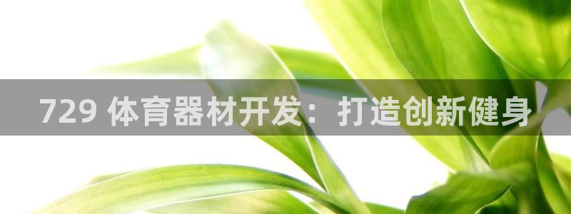 星欧娱乐平台怎么样：729 体育器材开发：打造创新健