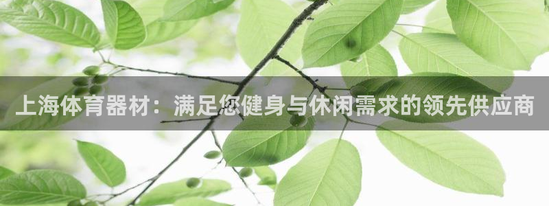 星欧娱乐属于什么档次的网站：上海体育器材：满足您健身