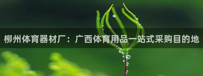 星欧娱乐的官方版本更新内容有哪些：柳州体育器材厂：广