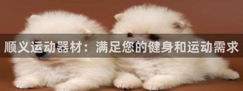 星奥娱乐艺人：顺义运动器材：满足您的健身和运动需求