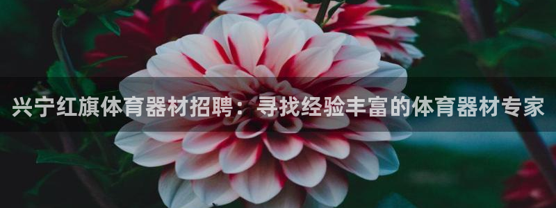 星欧娱乐退款流程详解：兴宁红旗体育器材招聘：寻找经验