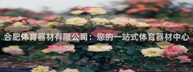 星欧娱乐属于什么档次的网站啊：合肥体育器材有限公司：