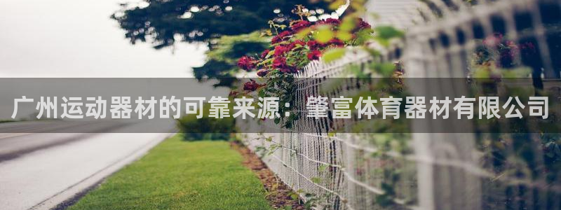 星欧娱乐伐711.112扣费的原因及处理措施：广州运