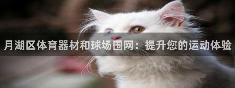 星欧娱乐最建议买的三个产品是什么意思：月湖区体育器材