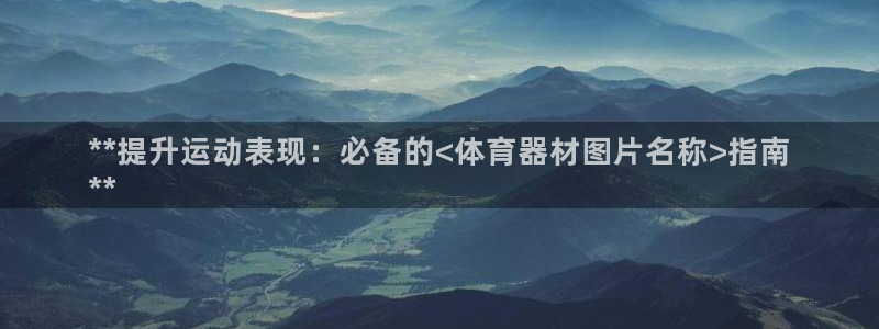 星奥娱乐招聘：**提升运动表现：必备的<体育器材图片