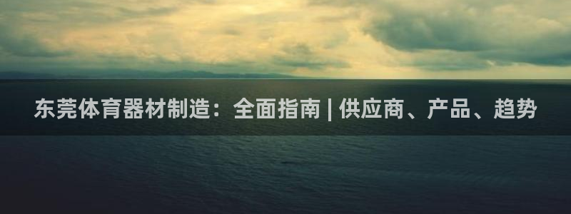 星奥娱乐集团：东莞体育器材制造：全面指南 | 供应商