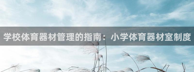 星欧娱乐官网下载安卓：学校体育器材管理的指南：小学体