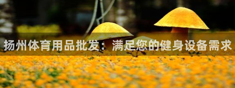 星欧娱乐app最新版本更新内容：扬州体育用品批发：满足您的健