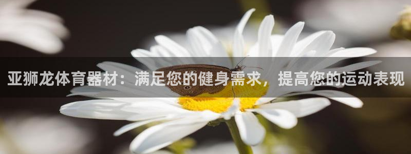 星欧娱乐扣款流程详解图：亚狮龙体育器材：满足您的健身