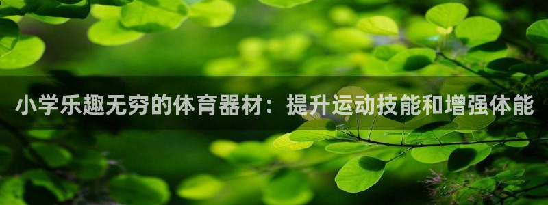 星欧娱乐游戏官网：小学乐趣无穷的体育器材：提升运动技